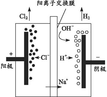 电解池  将电解槽隔成阴极室和阳极室,它只允许阳离子(na +)通过,而