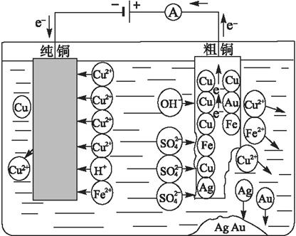 电解精炼铜装置图