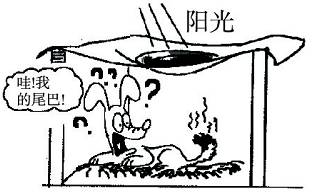 二次元ã陰毛ã無修正 